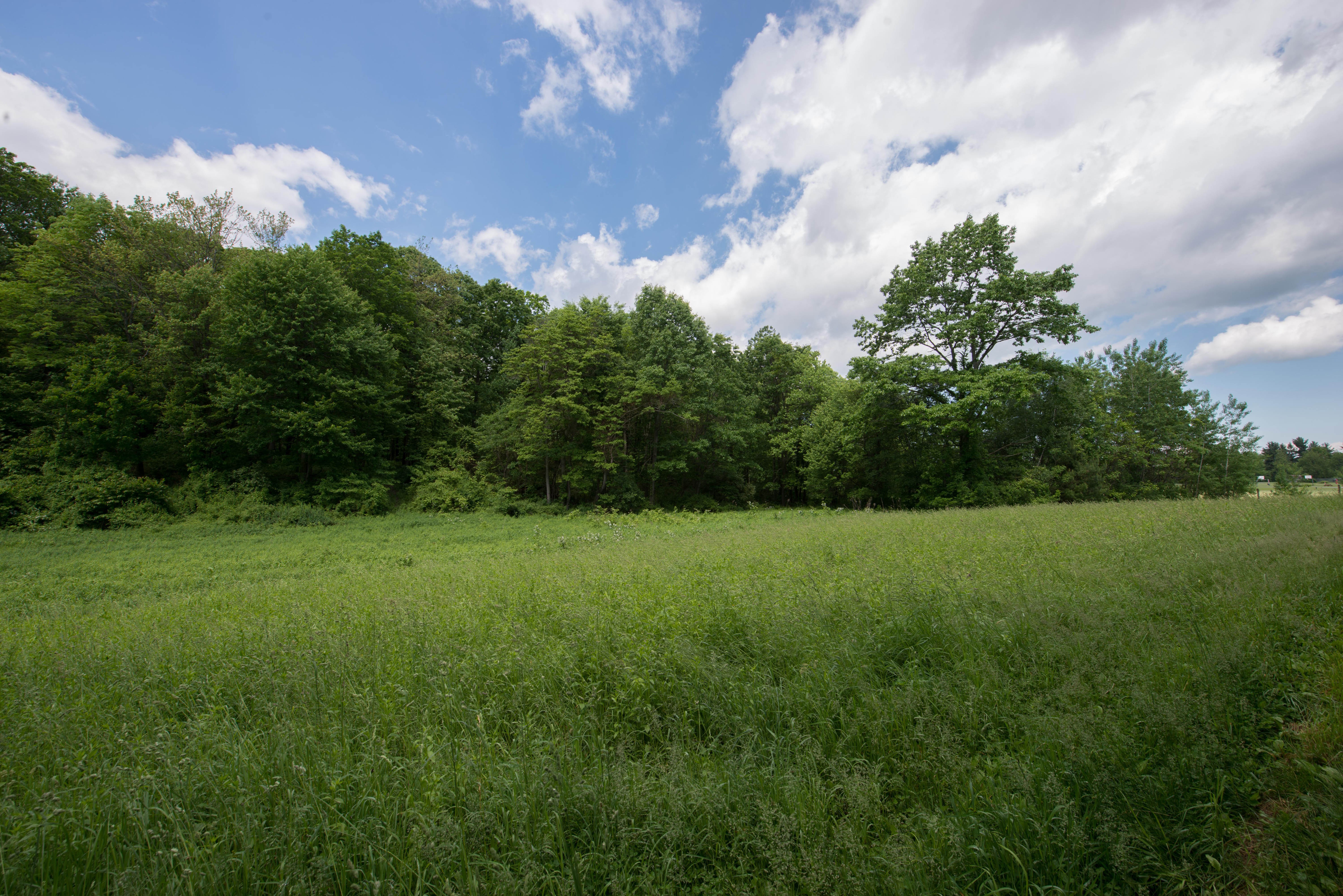 Property view 5