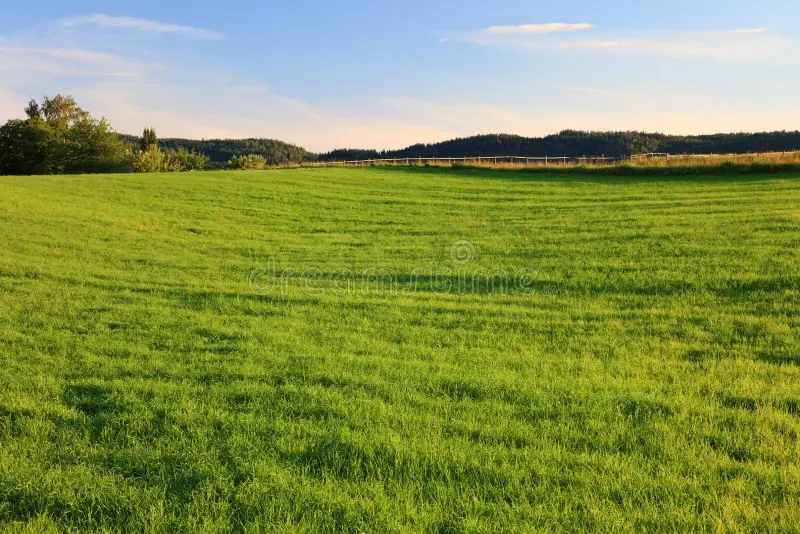 Property view 3