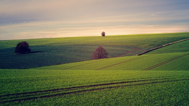 Property view 4