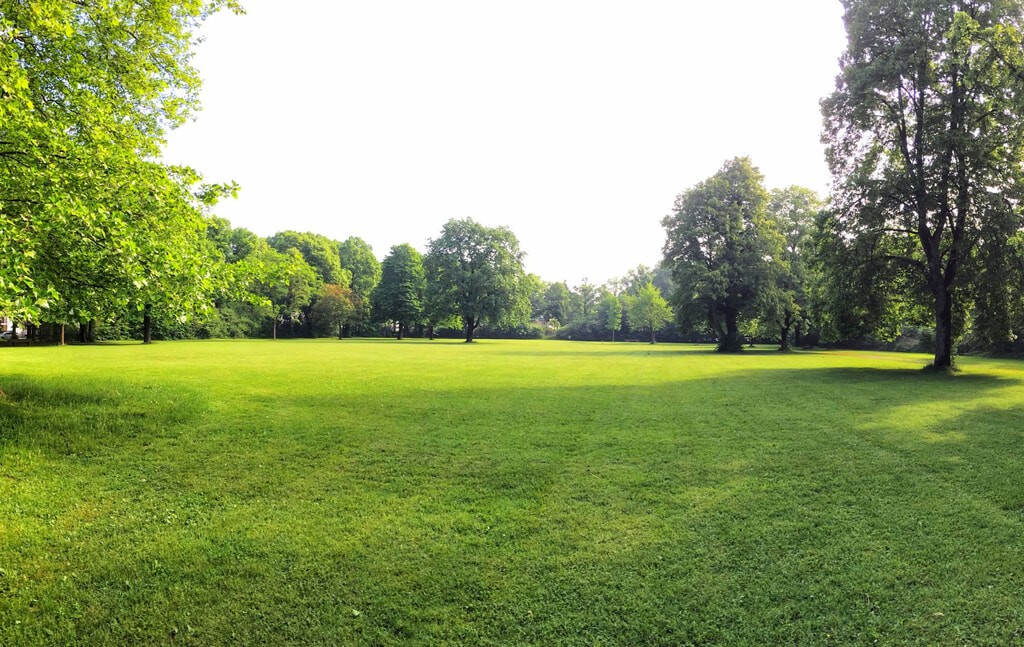 Property view 3